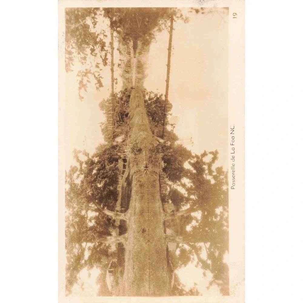 Full Set of 20 Vintage 1940's RPPC from New Caledonia - See Photos! Postcards - Picture 6 of 16